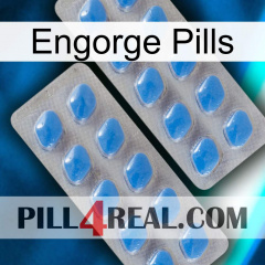 Engorge Pills 23